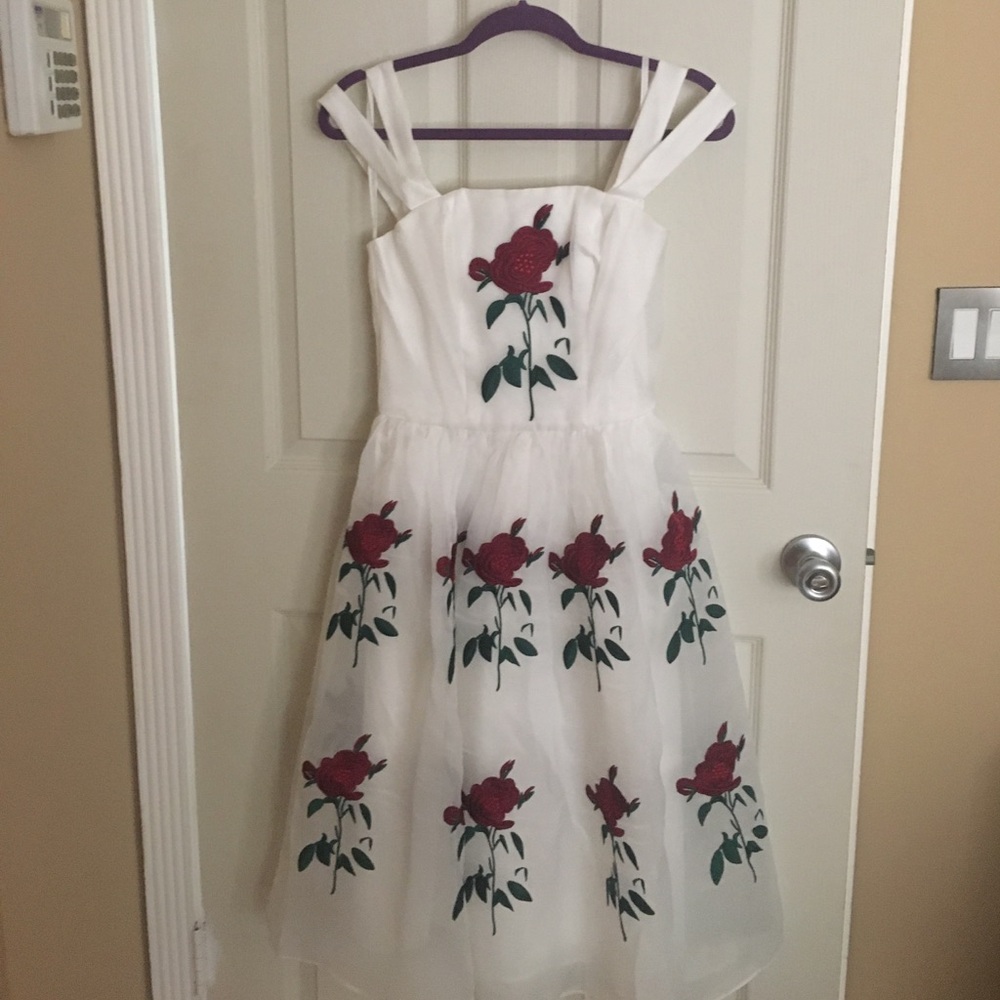 Beautiful Tatyana dress worn once with tags 🌹